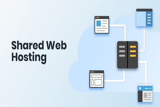 Pros and Cons of Shared of Web Hosting