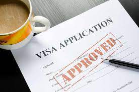 Top 9 Questions to Ask When Applying for an Online and US Visa Application