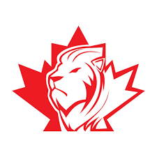 Top Tips for a Successful Canada Visa Application