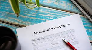 Canada Business Visa