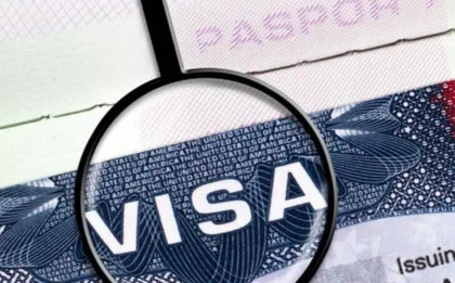 Super Useful Tips To Improve New Zealand Visa